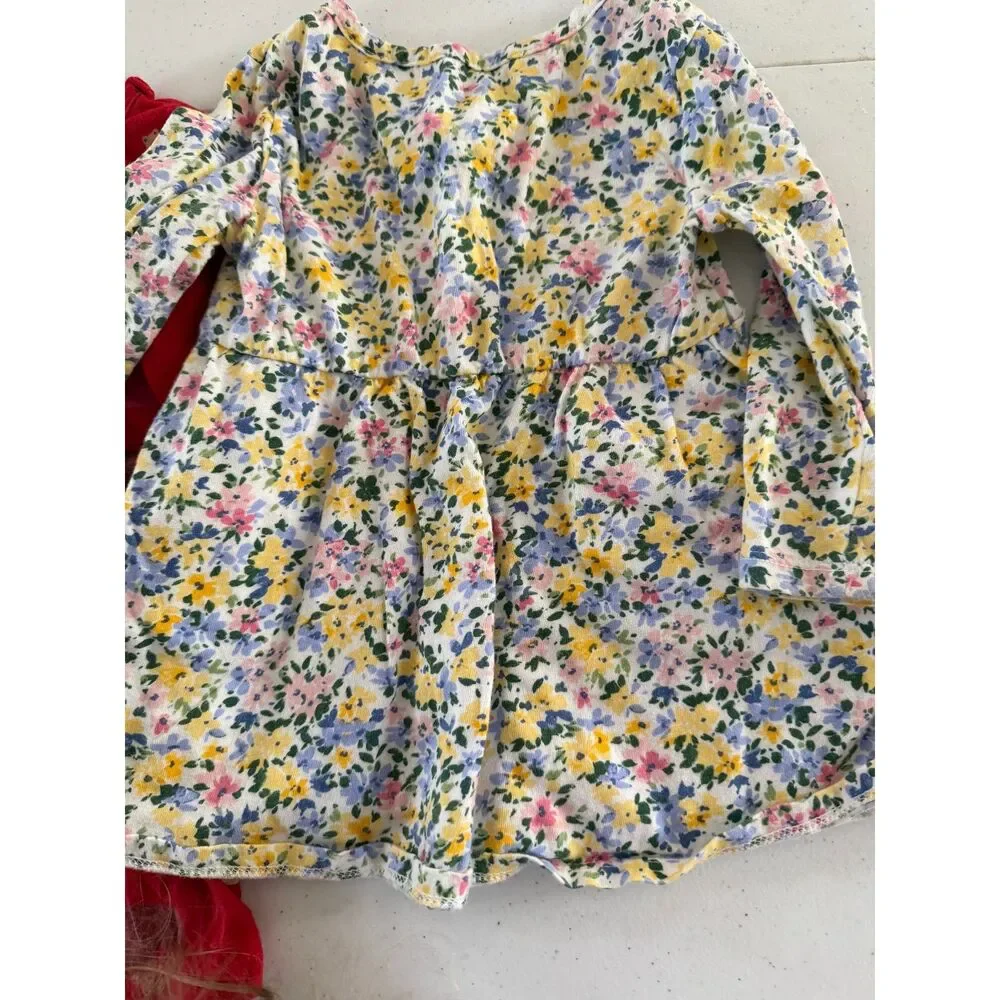 Baby Gap Girls Dress Lot of 3 Heart/Floral Dresses size 18-24 months